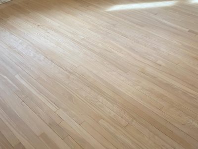 Photo Feb 26 2026, 8 22 49 PM (1)